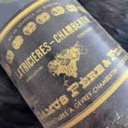 Camus Père et Fils Latricieres Chambertin 1981  CLA