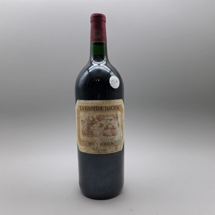 vue du vin Château Bastide Dauzac 1996 Magnum Ela