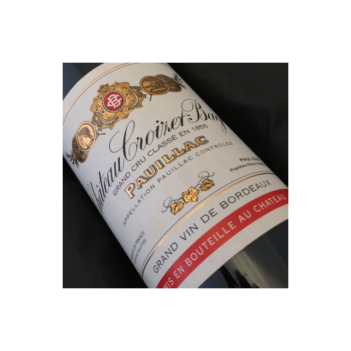 photo du vin Château Croizet Bages 1995
