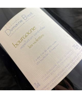 Domain Jean-Yves Bizot Bourgogne Blanc Les Violettes 1999 