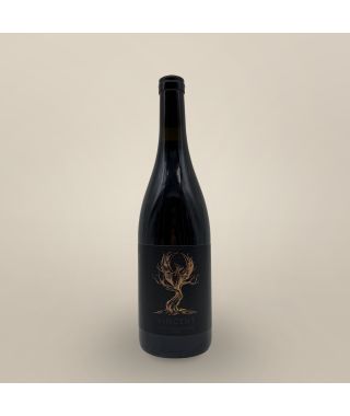 Clos U Suale Vincent Rouge 2023 Bouteille (75cl)