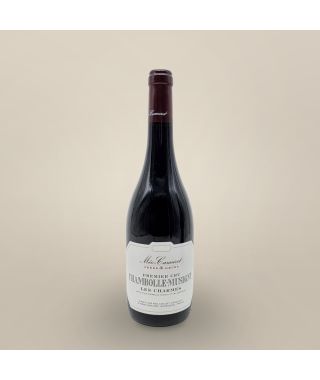Domaine Meo Camuzet Chambolle Musigny Les Charmes 2022 Bouteille (75cl)