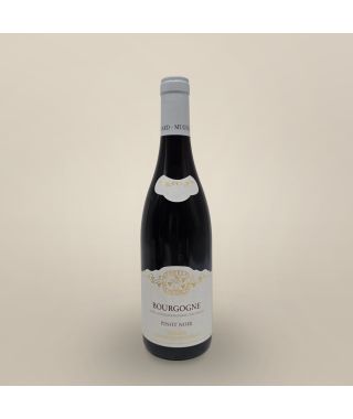 Domaine Mongeard Mugneret Bourgogne Rouge Pinot Noir 2022 Bouteille (75cl)