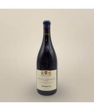 Domain Thibault Liger Belair Richebourg 2010