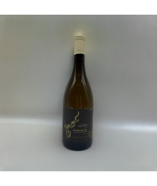 Domaine Isabelle Suire Saumur Blanc le Clos de la Grand Maison 2022 Bouteille (75cl)