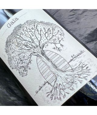 Loire Jerome Bretaudeau Domaine de Bellevue Muscadet Sevre-et-Maine Gaia Cuvee Ovoide 2019 Bottle (75cl)