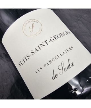 Domaine Les Parcellaires de Saulx Nuits Saint Geroges 2021 Bouteille (75cl) 