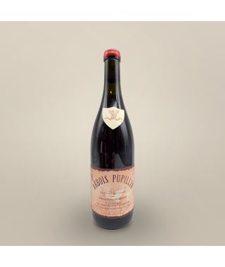 Maison Pierre Overnoy Houillon Arbois Pupillin Poulsard 2020 Bouteille (75cl)