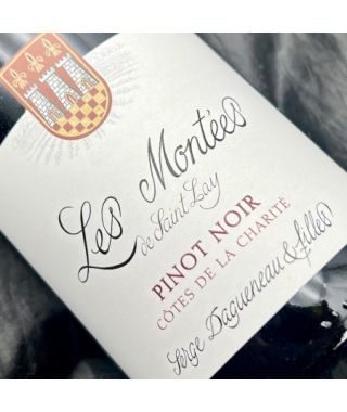 Domaine Serge Dagueneau et Filles Cote de la Charite Les Montees de Saint Lay Pinot Noir 2022 Bouteille (75cl)