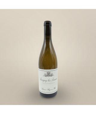 Simon Bize Savigny les Beaune Blanc 2022 Bouteille (75cl)