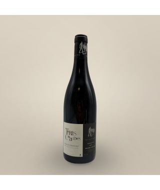 Thierry Germain - Domaine des Roches Neuves - Saumur Champigny - Terres Chaudes 2014 Bouteille (75cl) 