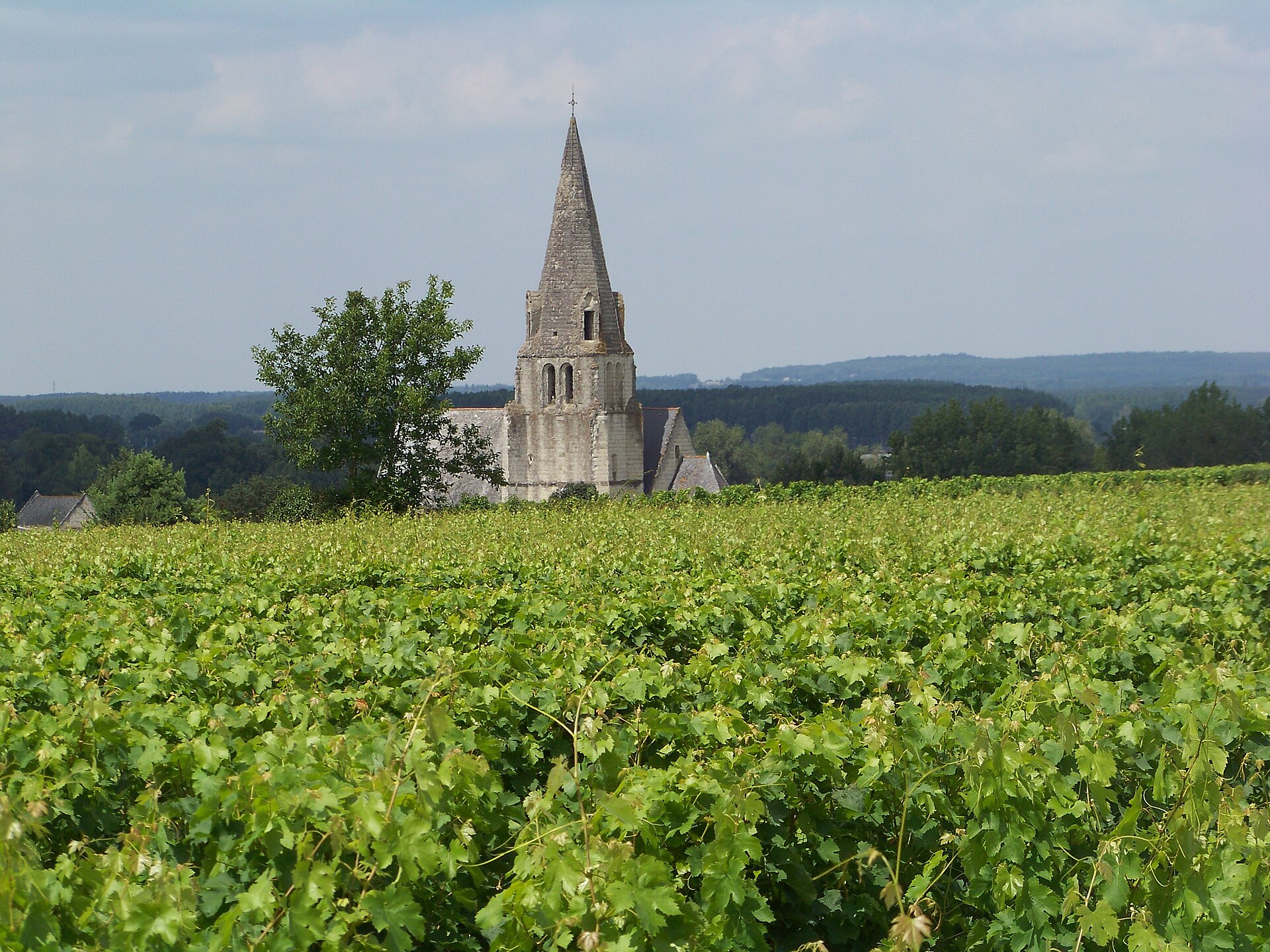Vins de Loire